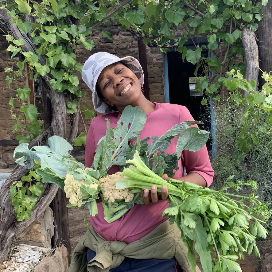 Veggie gardening