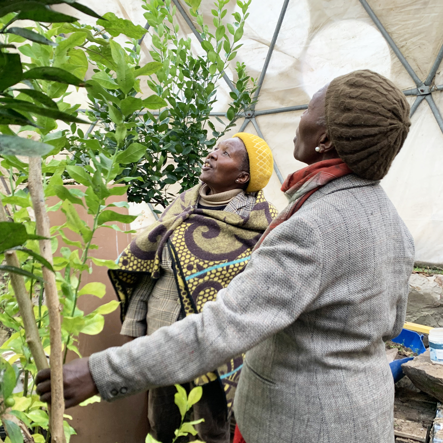 gardening in Mautse